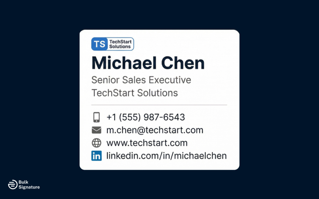 Example 2: Professional Signature with Logo